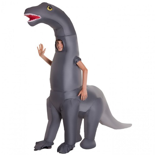 Kids giant inflatable - giant,